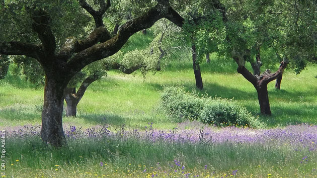 Un séjour cyclo sportif au Portugal, au coeur du Parc Naturel du Douro