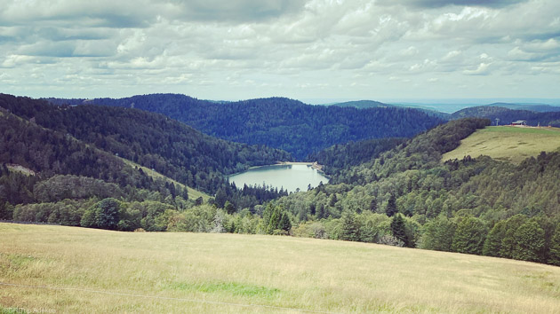 Découvrez les plus beaux paysages des Vosges en vélo