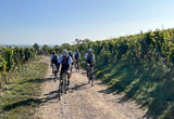 Une expérience de l’Alsace sur votre vélo - voyages adékua