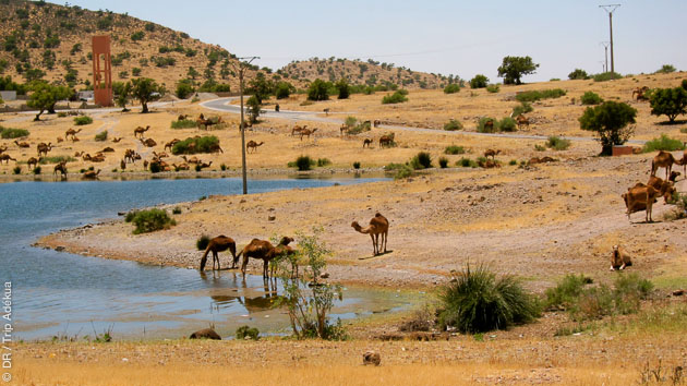 Vallée de l'Ourika, lac et barrage : les paysages magnifiques du Maroc vous accueillent pour ce court séjour cycliste