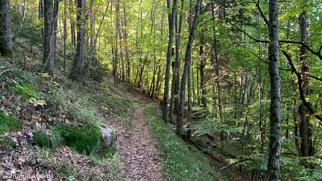 Vacances VTT sur les plus beaux single en Italie