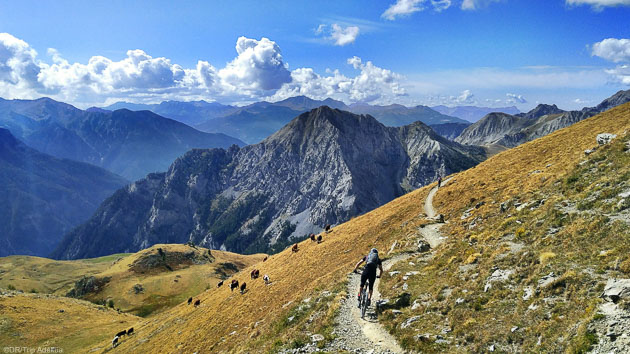 Roulez sur les plus beaux itinéraires VTT des Hautes-Alpes