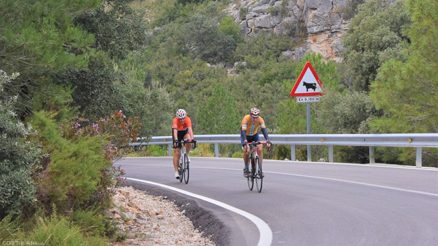 Découvrez les plus beaux cols d'Espagne à vélo