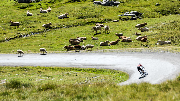 Découvrez les plus beaux paysages des Pyrénées pendant votre séjour vélo