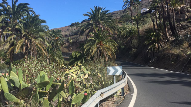 Des vacances vélo sur les meilleurs itinéraires des Canaries