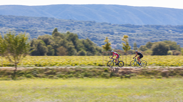 Un séjour vélo de route pour découvrir le Luberon en France