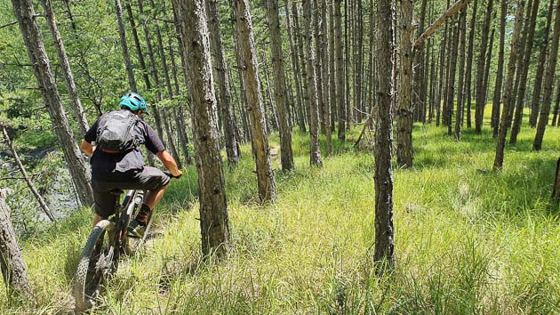 Des circuits de VTT entre col et forêts de mélèzes dans les Hautes-Alpes